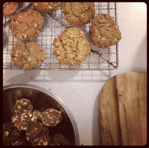 PB choc chip oatmeal cookies