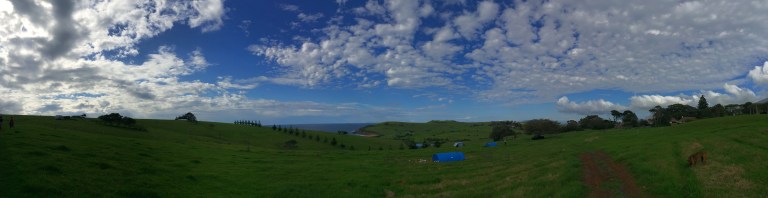 Buena Vista Farm_From Scratch Workshop_4