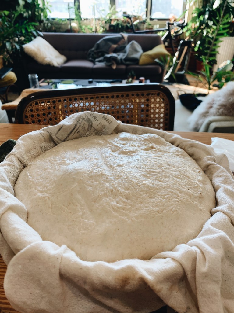 Processed with VSCO with a6 preset